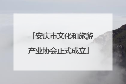 安庆市文化和旅游产业协会正式成立