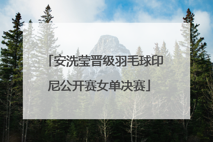 安洗莹晋级羽毛球印尼公开赛女单决赛