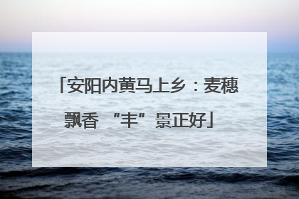 安阳内黄马上乡：麦穗飘香 “丰”景正好