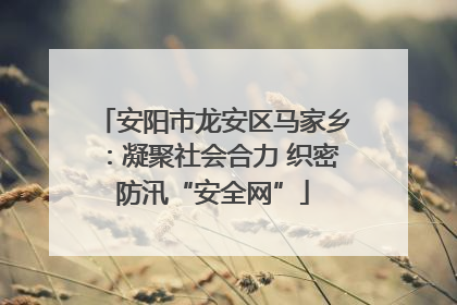 安阳市龙安区马家乡：凝聚社会合力 织密防汛“安全网”