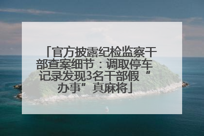官方披露纪检监察干部查案细节：调取停车记录发现3名干部假“办事”真麻将