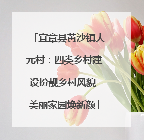 宜章县黄沙镇大元村：四类乡村建设扮靓乡村风貌 美丽家园焕新颜
