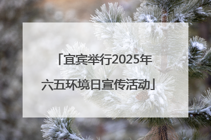 宜宾举行2025年六五环境日宣传活动