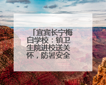 宜宾长宁梅白学校：镇卫生院进校送关怀，防暑安全知识润心田