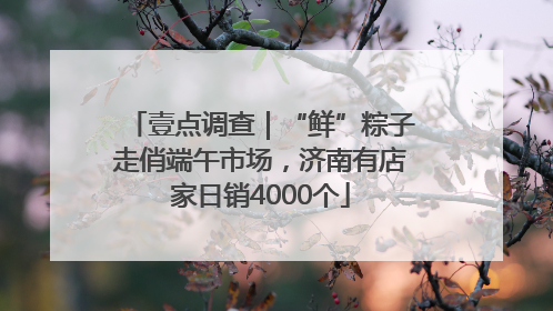 壹点调查｜“鲜”粽子走俏端午市场，济南有店家日销4000个