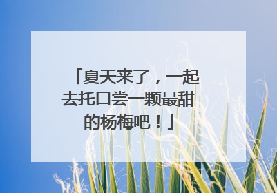 夏天来了，一起去托口尝一颗最甜的杨梅吧！
