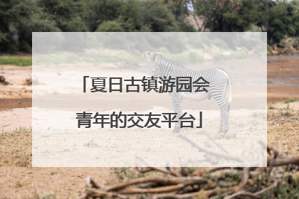 夏日古镇游园会 青年的交友平台