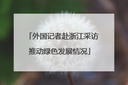 外国记者赴浙江采访推动绿色发展情况