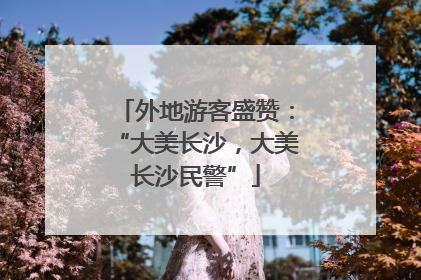 外地游客盛赞：“大美长沙，大美长沙民警”