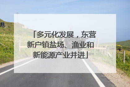 多元化发展，东营新户镇盐场、渔业和新能源产业并进