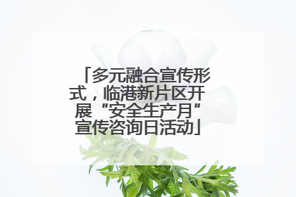 多元融合宣传形式，临港新片区开展“安全生产月”宣传咨询日活动