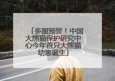 多图预警！中国大熊猫保护研究中心今年首只大熊猫幼崽诞生