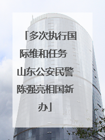 多次执行国际维和任务 山东公安民警陈强亮相国新办