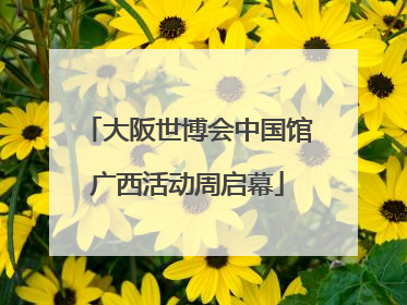 大阪世博会中国馆广西活动周启幕