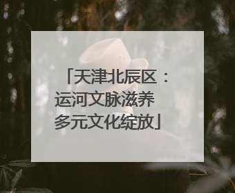 天津北辰区：运河文脉滋养 多元文化绽放
