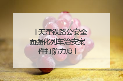 天津铁路公安全面强化列车治安案件打防力度