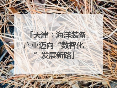 天津：海洋装备产业迈向“数智化”发展新路