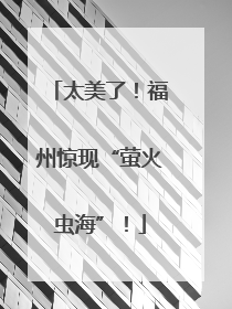 太美了！福州惊现“萤火虫海”！
