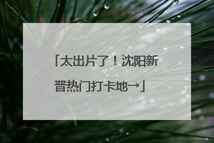 太出片了！沈阳新晋热门打卡地→