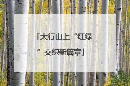 太行山上“红绿”交织新篇章