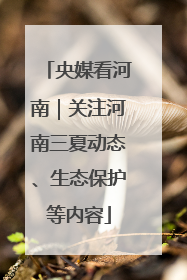 央媒看河南｜关注河南三夏动态、生态保护等内容