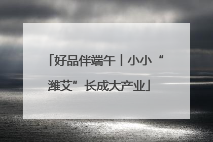 好品伴端午丨小小“潍艾”长成大产业