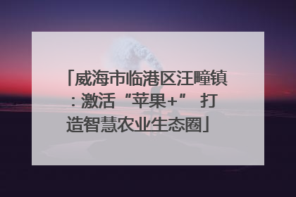 威海市临港区汪疃镇：激活“苹果+” 打造智慧农业生态圈
