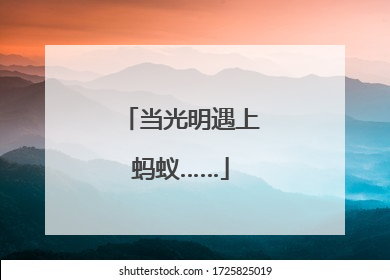 当光明遇上蚂蚁……