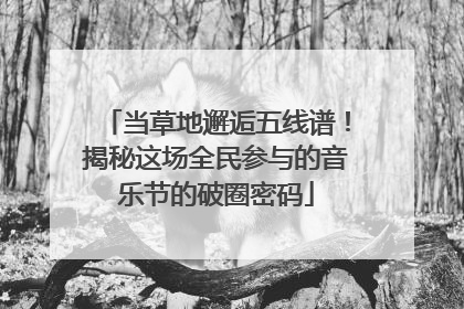 当草地邂逅五线谱！揭秘这场全民参与的音乐节的破圈密码