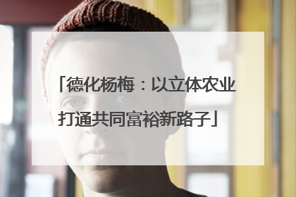 德化杨梅：以立体农业打通共同富裕新路子