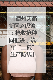 德州天衢新区赵虎镇：抢收抢种同推进，筑牢“三夏”生产防线