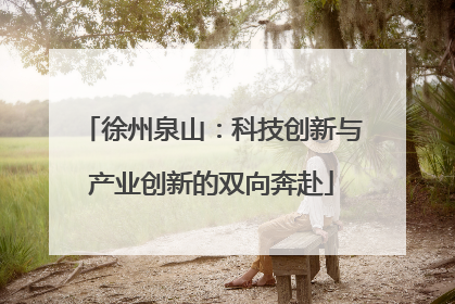 徐州泉山：科技创新与产业创新的双向奔赴