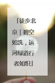 徒步北京｜碧空如洗，运河绿道行者如织