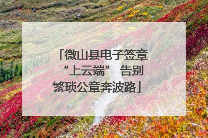 微山县电子签章“上云端” 告别繁琐公章奔波路