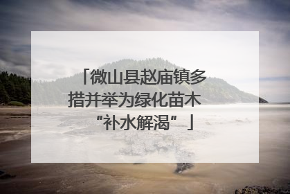 微山县赵庙镇多措并举为绿化苗木“补水解渴”