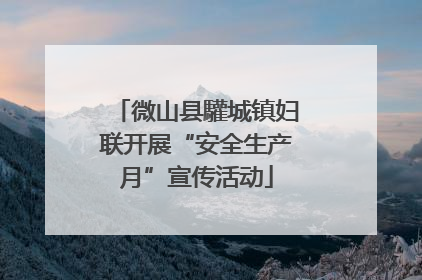 微山县驩城镇妇联开展“安全生产月”宣传活动