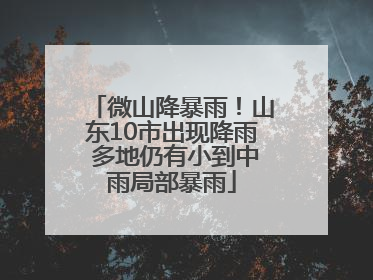 微山降暴雨！山东10市出现降雨 多地仍有小到中雨局部暴雨