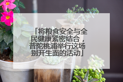 将粮食安全与全民健康紧密结合，普陀桃浦举行这场别开生面的活动