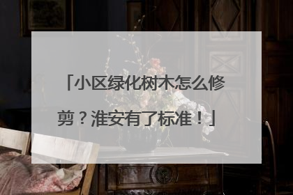 小区绿化树木怎么修剪？淮安有了标准！