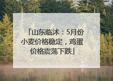 山东临沭：5月份小麦价格稳定，鸡蛋价格震荡下跌