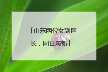 山东两位女副区长，同日履新