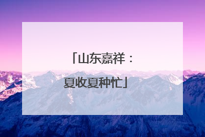 山东嘉祥：夏收夏种忙