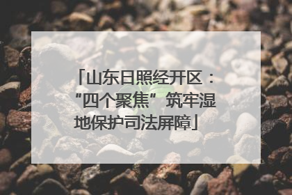 山东日照经开区：“四个聚焦”筑牢湿地保护司法屏障