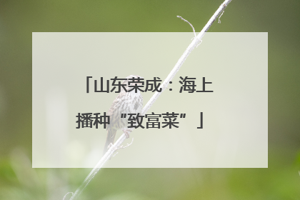 山东荣成：海上播种“致富菜”