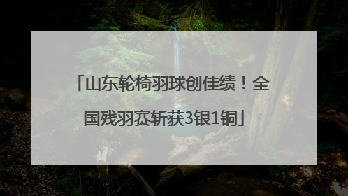 山东轮椅羽球创佳绩！全国残羽赛斩获3银1铜