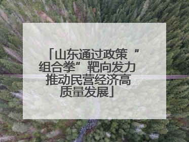 山东通过政策“组合拳”靶向发力 推动民营经济高质量发展