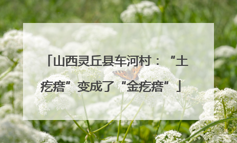 山西灵丘县车河村：“土疙瘩”变成了“金疙瘩”