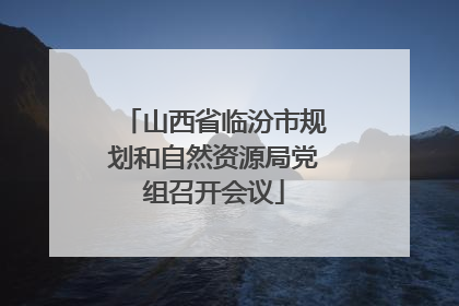 山西省临汾市规划和自然资源局党组召开会议
