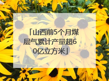 山西前5个月煤层气累计产量超60亿立方米