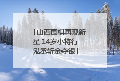 山西围棋再现新星 14岁小将行泓丞斩金夺银